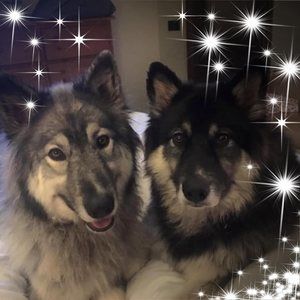 Meet your Posher, Martine